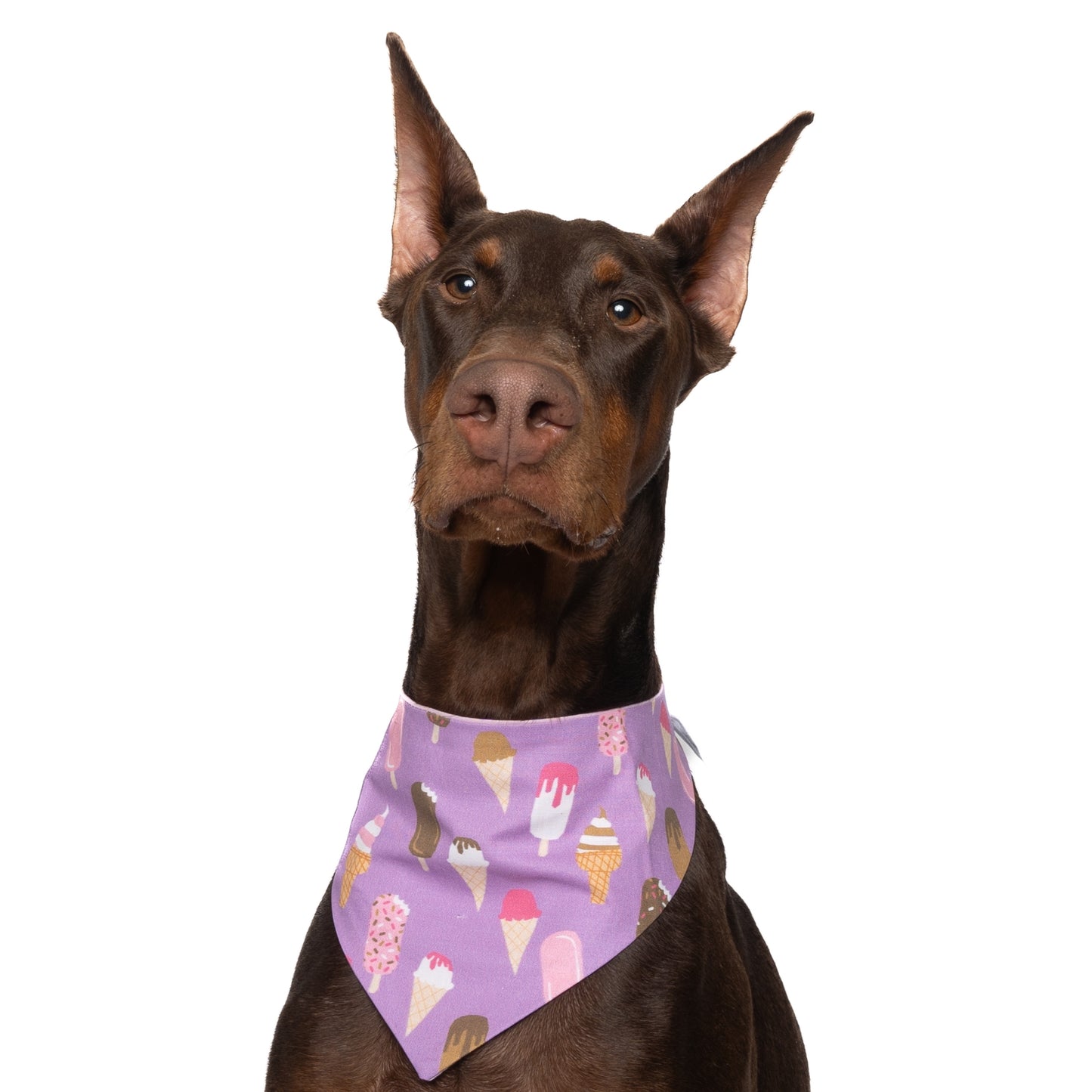 ICE CREAMS (PURPLE) - CLASSIC DOG BANDANA