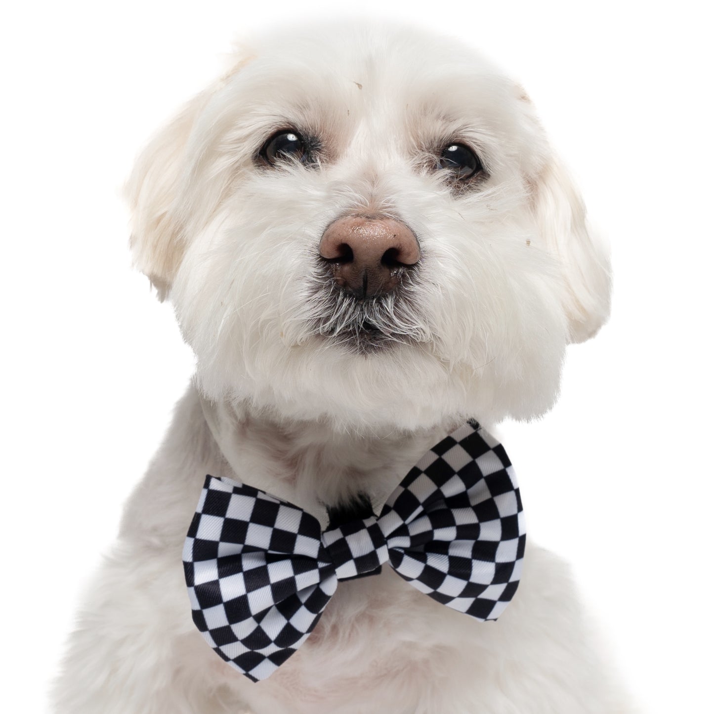 BLACK & WHITE CHECKERED - BOW TIE