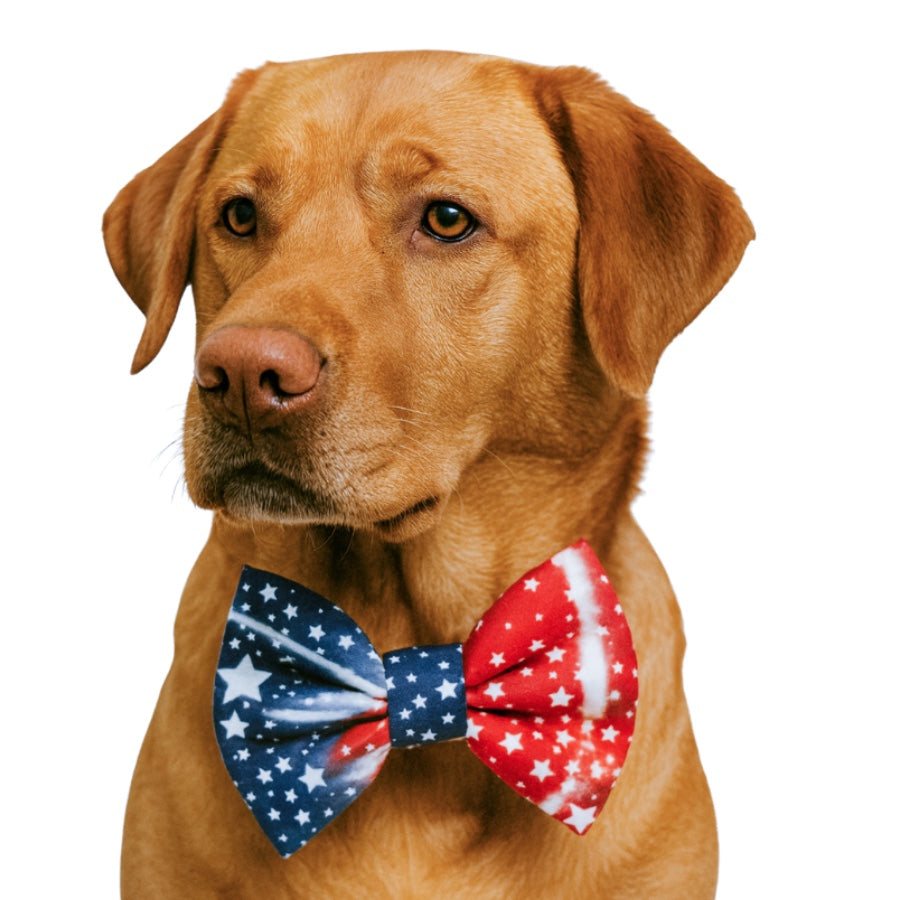 RWB TIE DYE - DAPPER DEXTER DOG BOW TIE