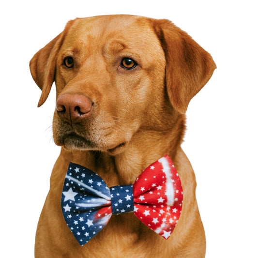 RWB TIE DYE - DAPPER DEXTER DOG BOW TIE