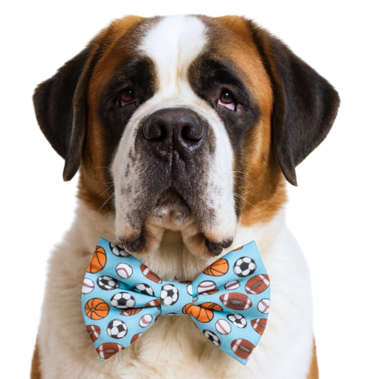 LETS PLAY BALL - DAPPER DEXTER DOG BOW TIE