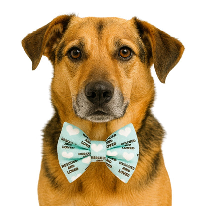 RESCUED WITH LOVE - DAPPER DEXTER DOG BOW TIE