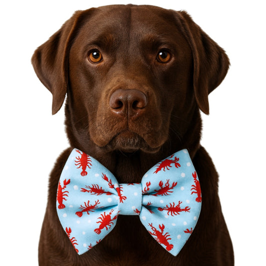 LIGHT BLUE LOBSTERS - DAPPER DEXTER DOG BOW TIE