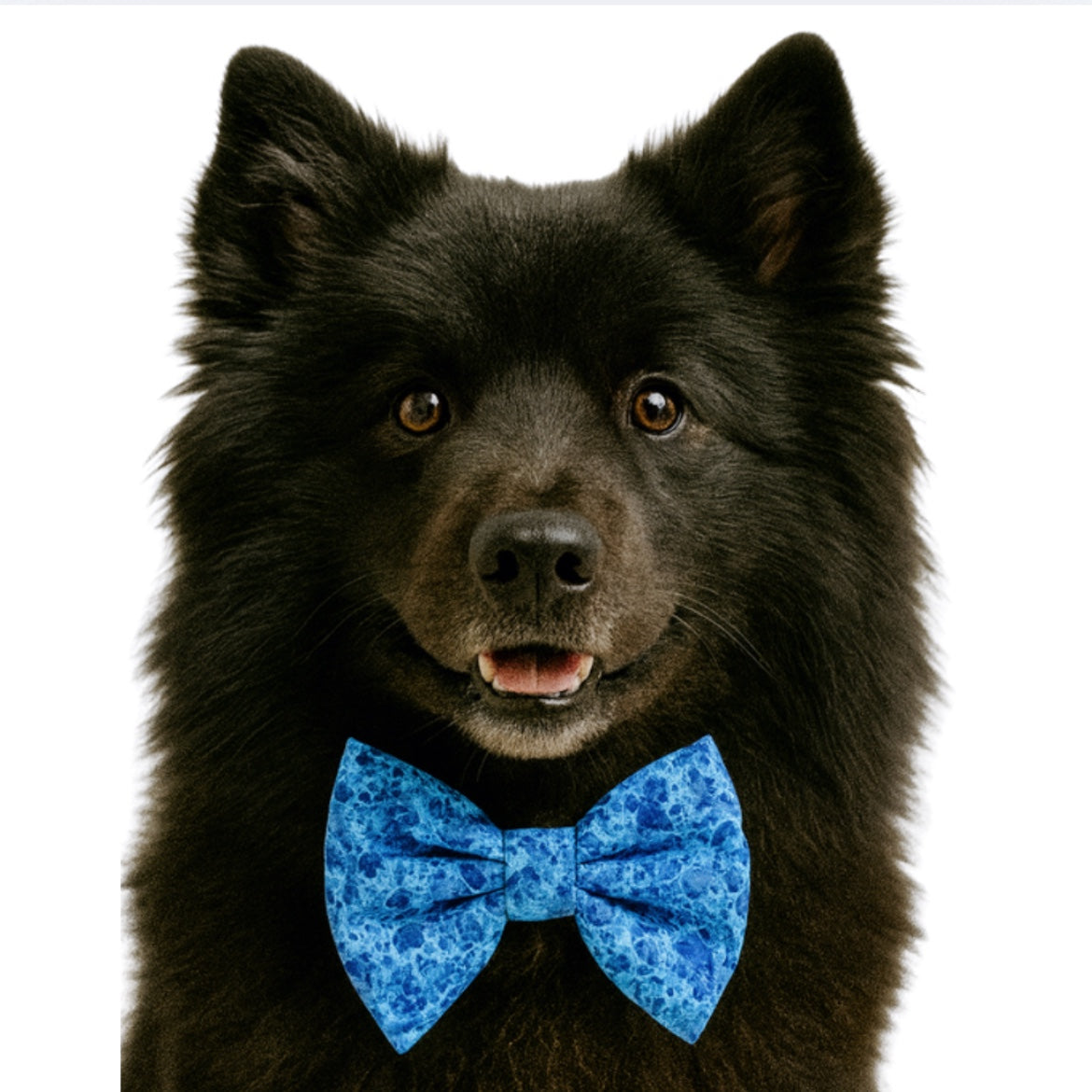 BLUE WATERCOLOR - DAPPER DEXTER DOG BOW TIE