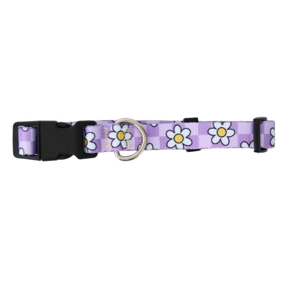 LAVENDER DAISY - EXTRA SMALL COLLAR