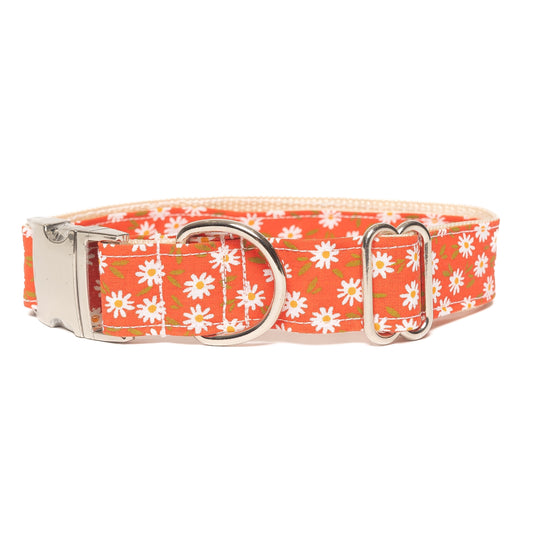 BURNT ORANGE MINI FLORAL - DOG COLLAR