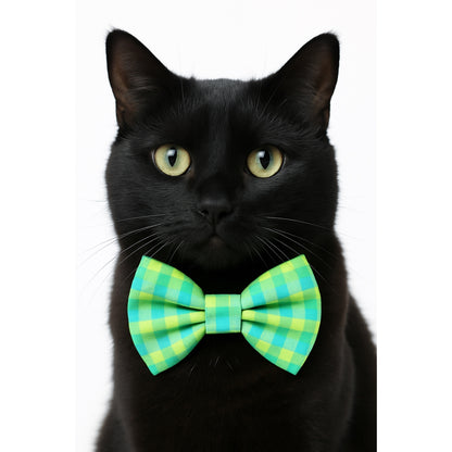 LIME PLAID - CAT BOW TIE