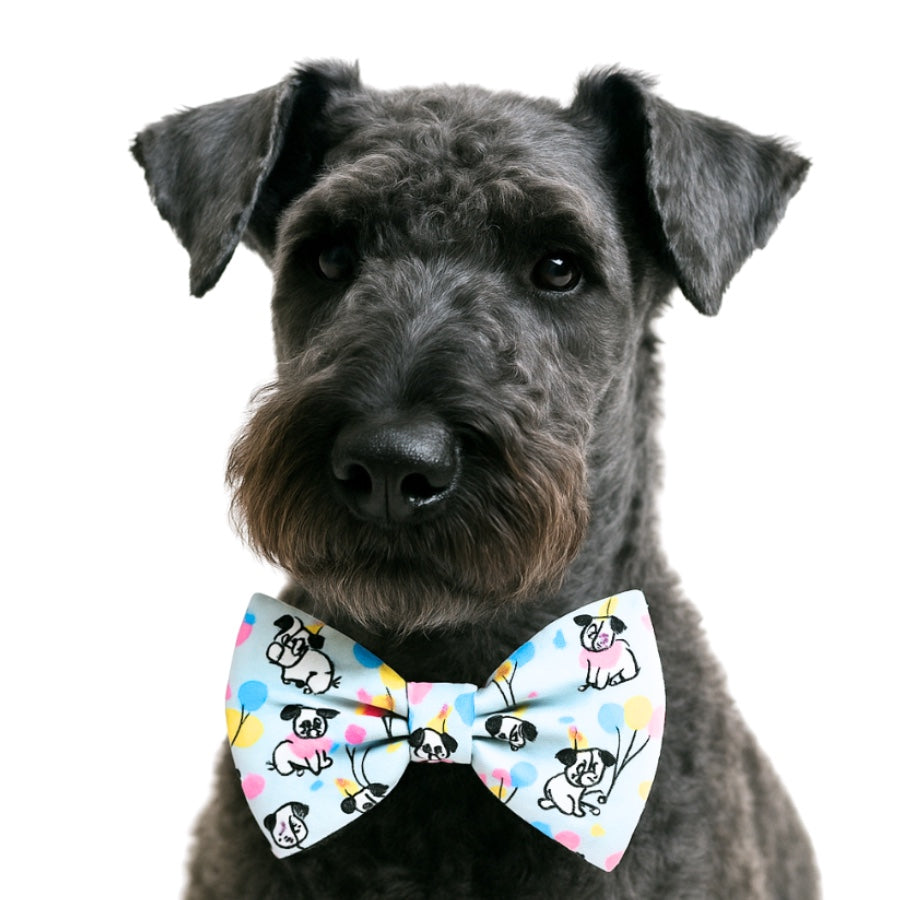 BIRTHDAY PUP- DAPPER DEXTER DOG BOW TIE