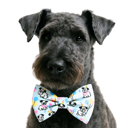 BIRTHDAY PUP- DAPPER DEXTER DOG BOW TIE