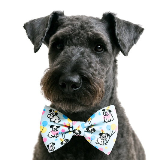 BIRTHDAY PUP- DAPPER DEXTER DOG BOW TIE