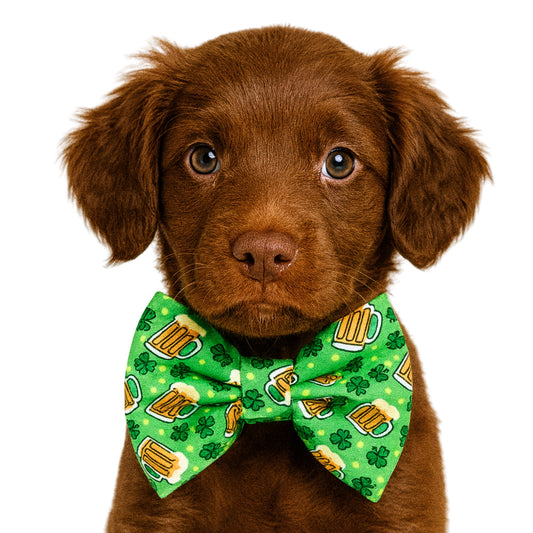 BEER - DAPPER DEXTER DOG BOW TIE