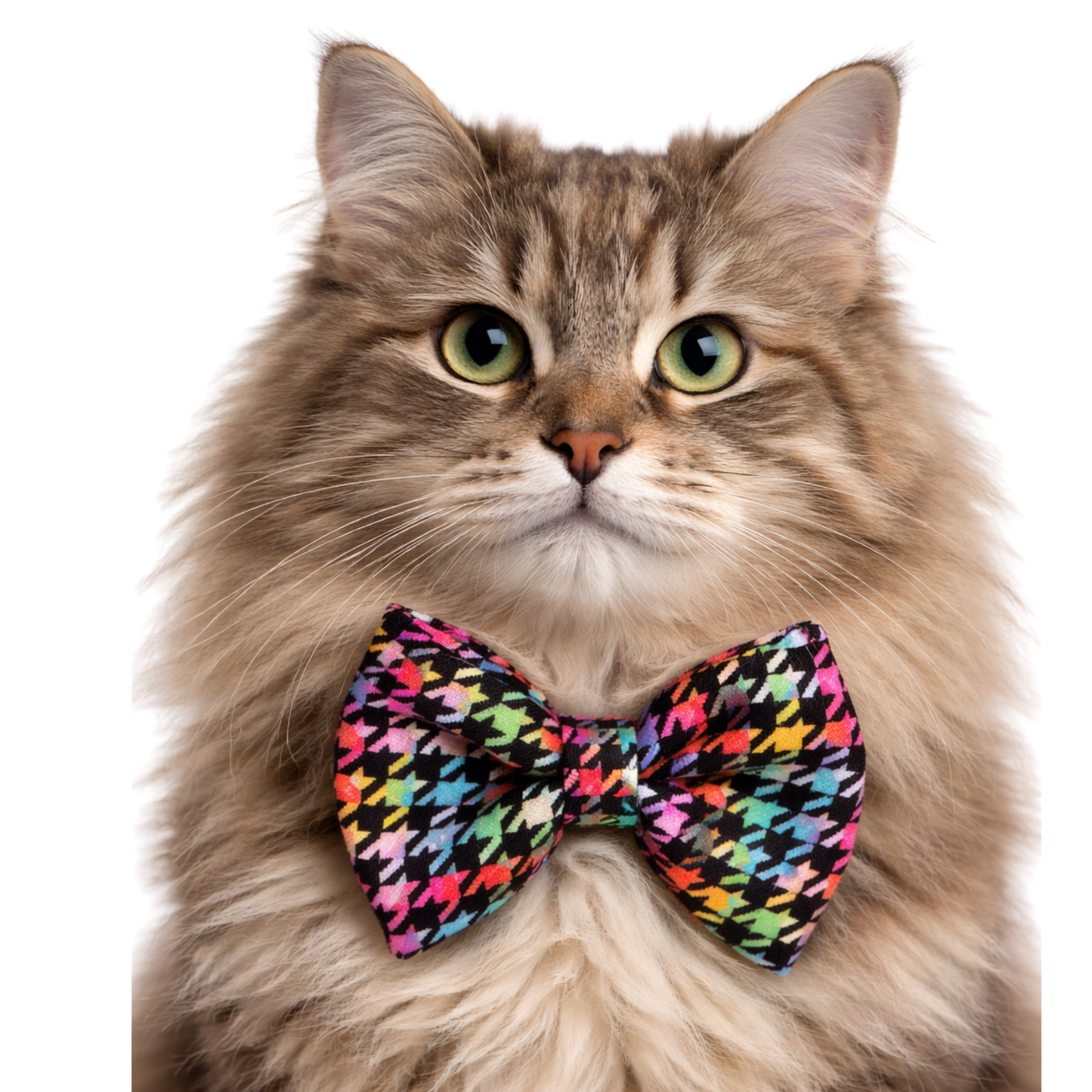 BLACK AND RAINBOW HOUNDSTOOTH - CAT BOW TIE