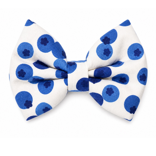 BLUEBERRIES - DAPPER DEXTER DOG BOW TIE