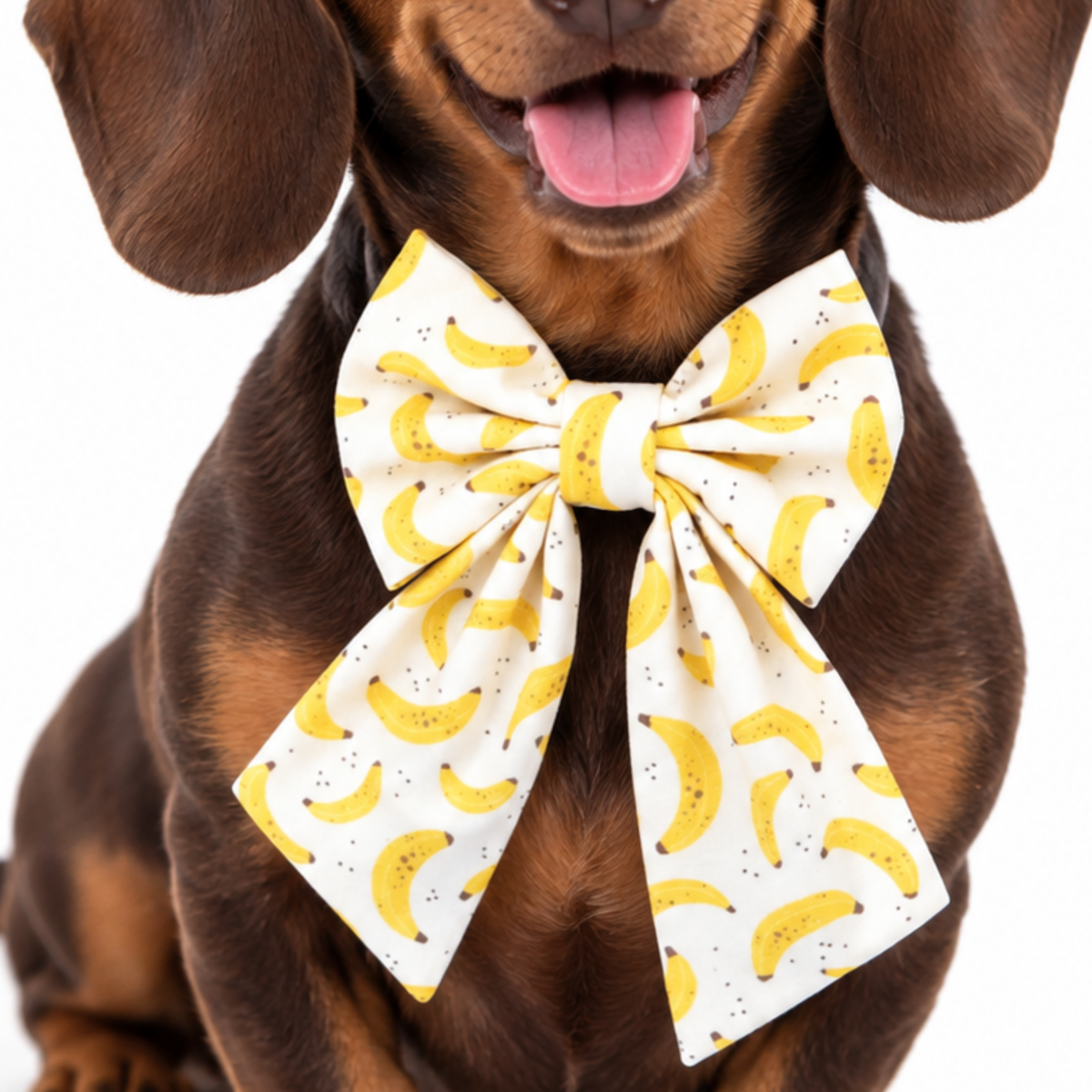 BANANAS- SAILOR BOW