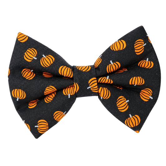 MINI PUMPKINS (ON BLACK) - DAPPER DEXTER DOG BOW TIE