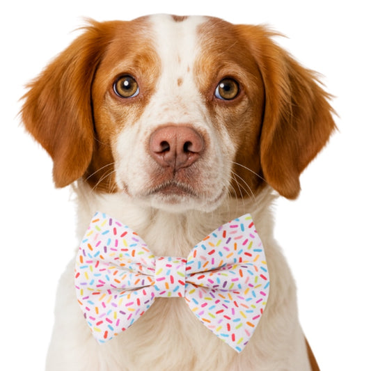 CUPCAKES - DAPPER DEXTER DOG BOW TIE
