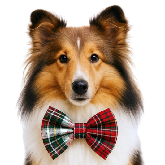 RED & GREEN TARTAN PLAID  - DAPPER DEXTER DOG BOW TIE
