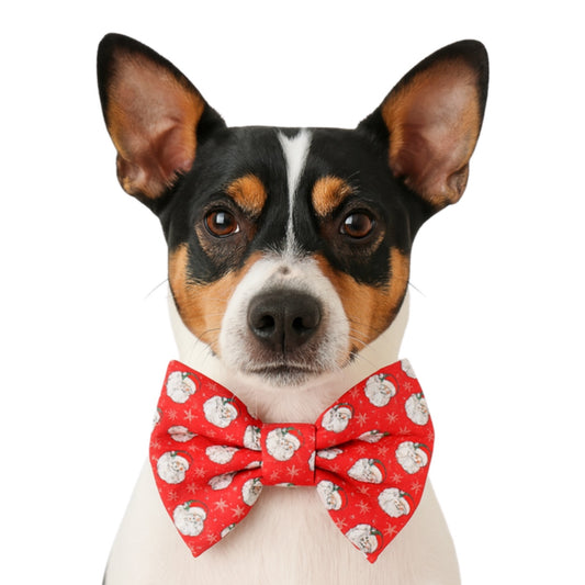 SANTA - DAPPER DEXTER DOG BOW TIE