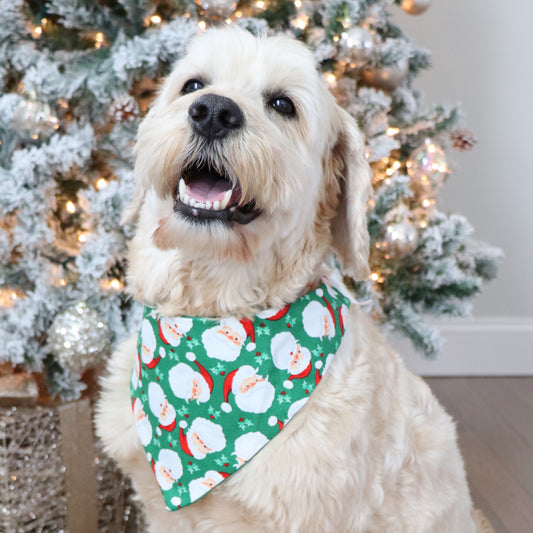 SANTA (GREEN) -  CLASSIC DOG BANDANA