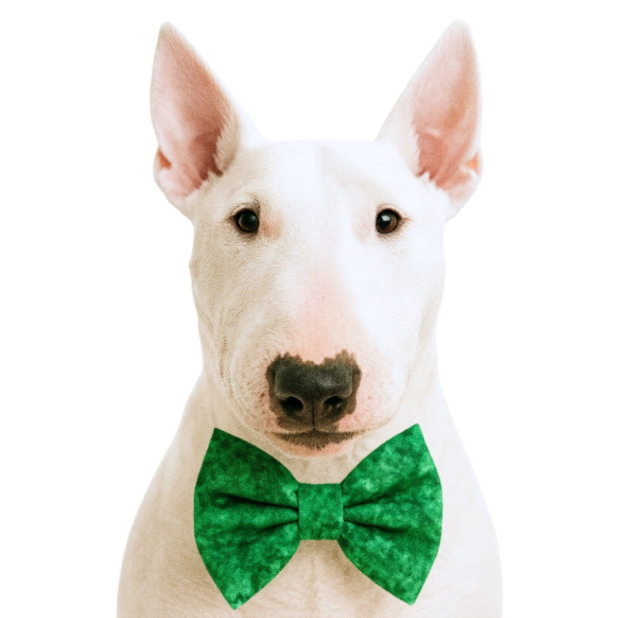 HOLIDAY GREEN - DAPPER DEXTER DOG BOW TIE