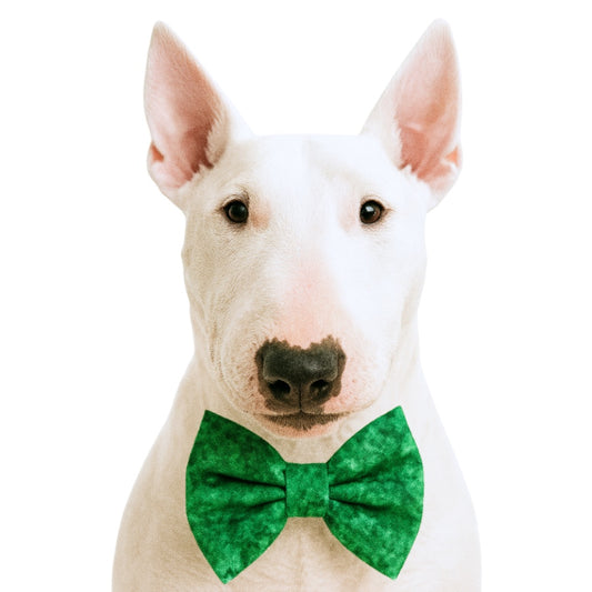 HOLIDAY GREEN - DAPPER DEXTER DOG BOW TIE