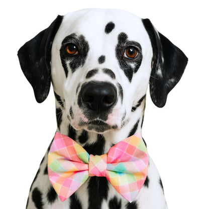 NEON PLAID - DAPPER DEXTER DOG BOW TIE