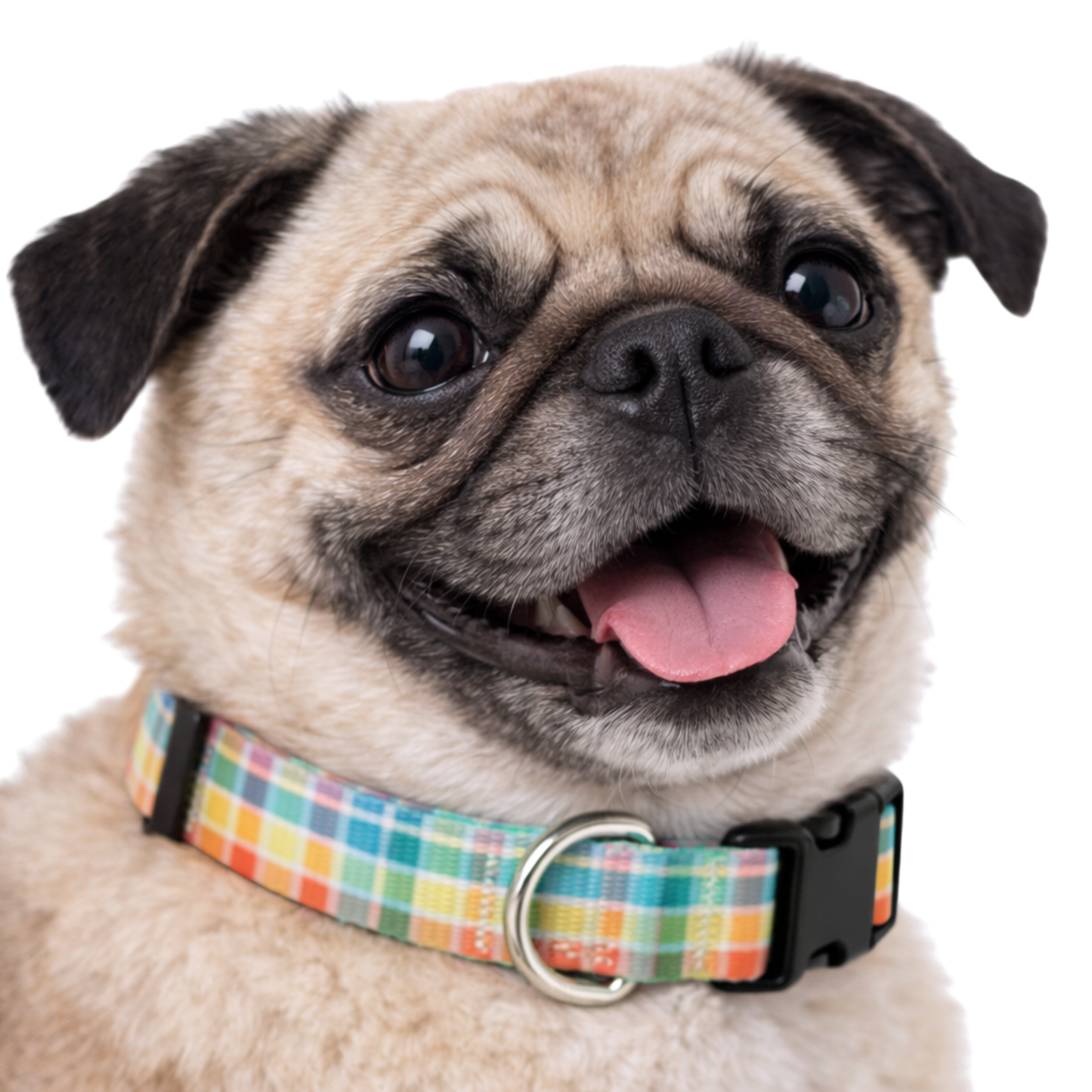 RAINBOW PLAID - EXTRA SMALL COLLAR