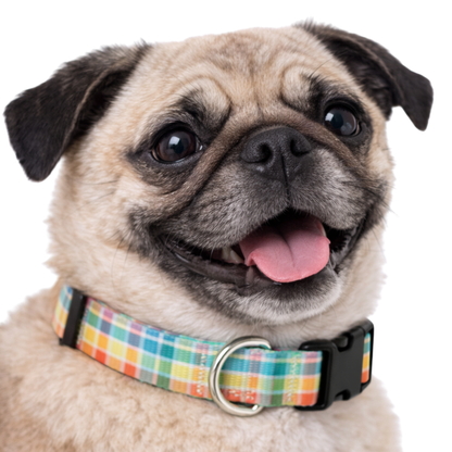 RAINBOW PLAID - EXTRA SMALL COLLAR