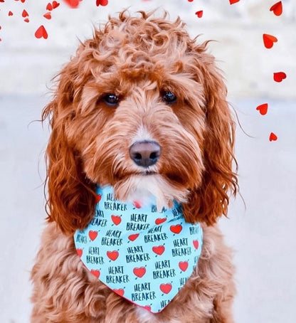 20 VALENTINES DAY CLASSIC BANDANAS (WHOLESALE)