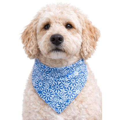 INDIGO FLORAL - CLASSIC DOG BANDANA