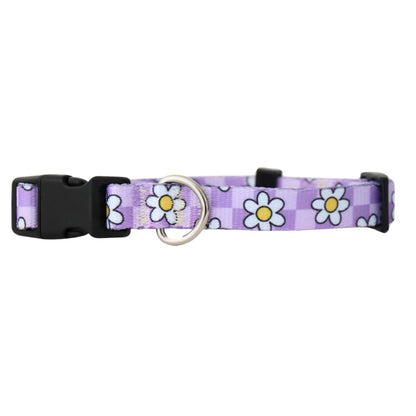 LAVENDER DAISY - EXTRA SMALL COLLAR