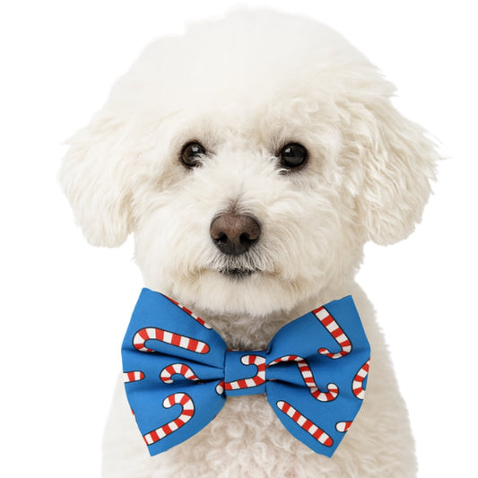 CANDY CANES - DAPPER DEXTER DOG BOW TIE