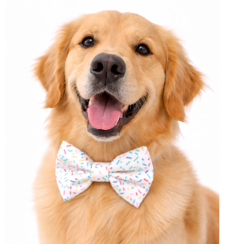 FUNFETTI - DAPPER DEXTER DOG BOW TIE