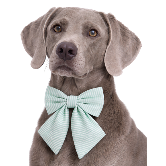MINT GREEN SEERSUCKER - SAILOR BOW