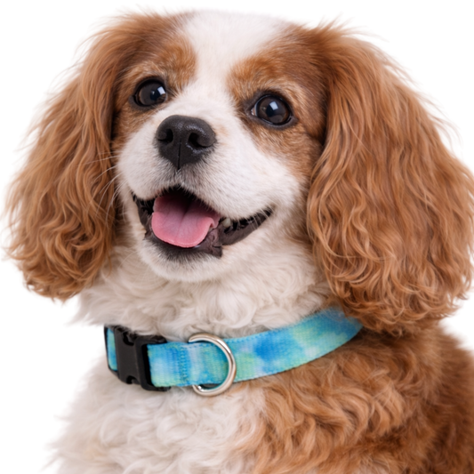 LIME AND BLUE TIE DYE - EXTRA SMALL COLLAR