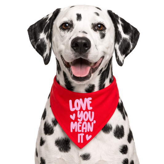 LOVE YOU MEAN IT - CLASSIC DOG BANDANA