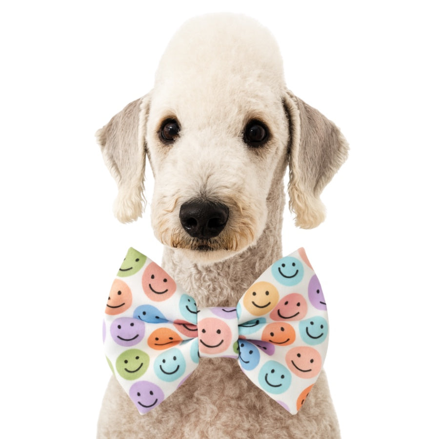 SMILES - DAPPER DEXTER DOG BOW TIE