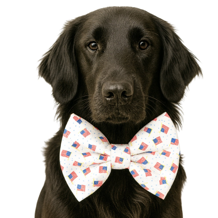AMERICAN FLAG - DAPPER DEXTER DOG BOW TIE