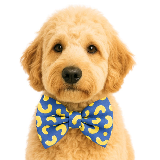 NOODLES- DAPPER DEXTER DOG BOW TIE