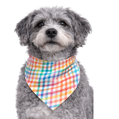 RAINBOW PLAID - CLASSIC DOG BANDANA
