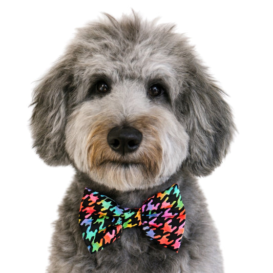 RAINBOW HOUNDSTOOTH ON BLACK - DAPPER DEXTER DOG BOW TIE