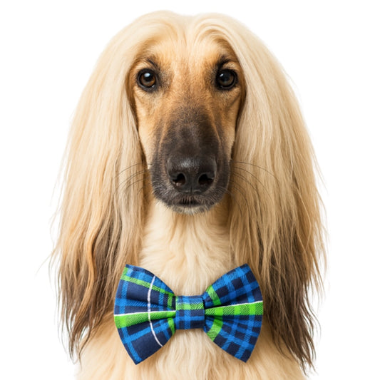 BLUE, GREEN & SILVER PLAID - DAPPER DEXTER DOG BOW TIE