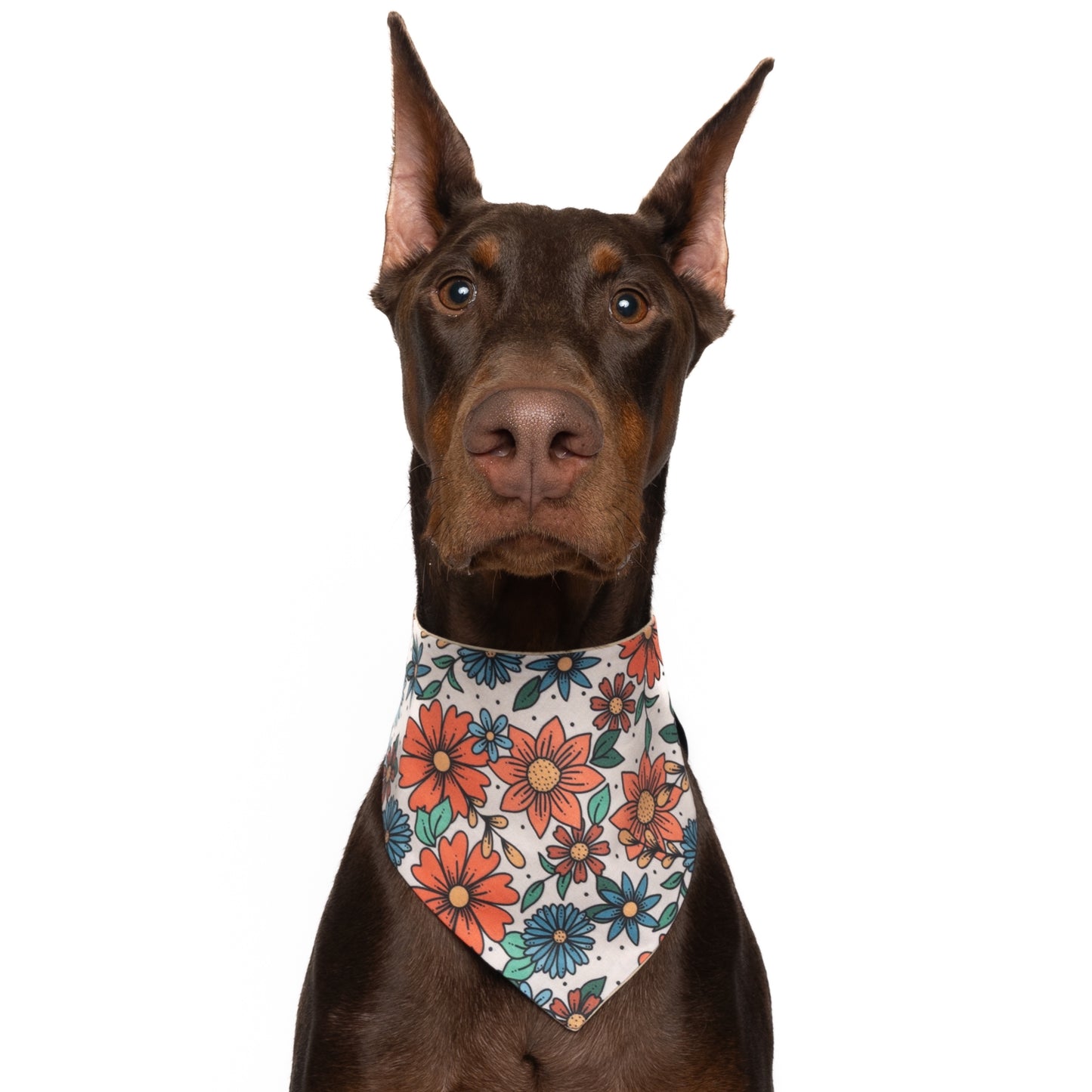 FALL FLORAL - CLASSIC DOG BANDANA