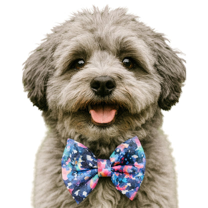 MULTI WATERCOLOR- DAPPER DEXTER DOG BOW TIE