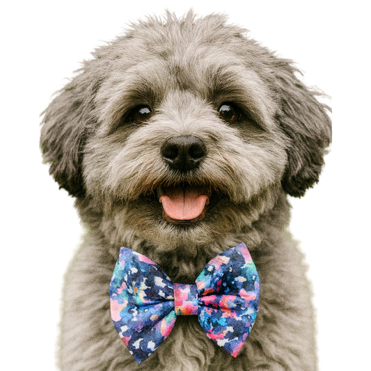 MULTI WATERCOLOR- DAPPER DEXTER DOG BOW TIE