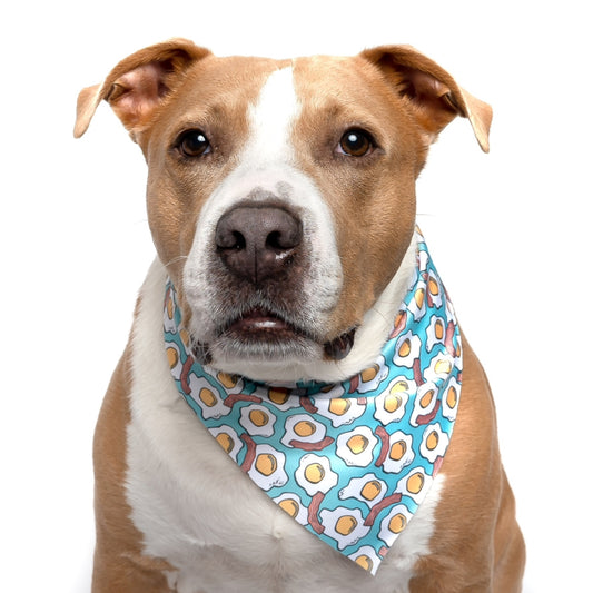 BACON AND EGGS - TRIANGLE DOG BANDANA BY DAPPER DEXTER
