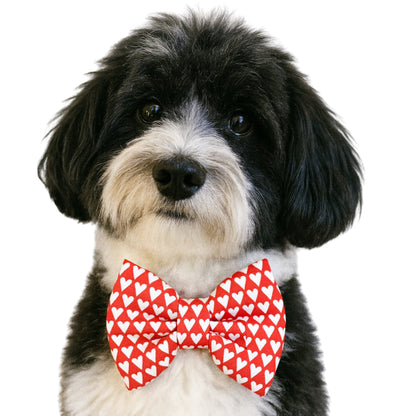 RED WITH HEARTS- DAPPER DEXTER DOG BOW TIE