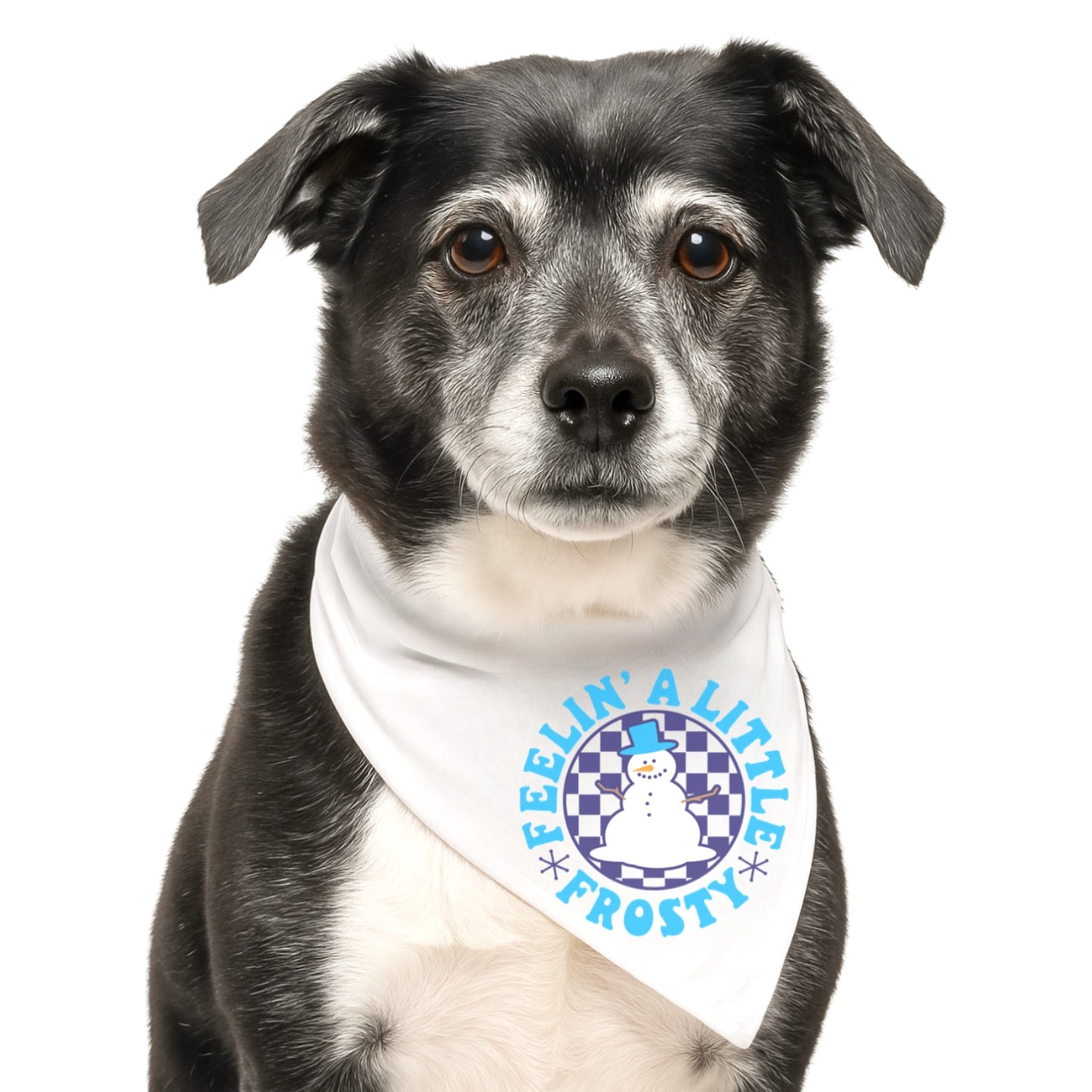 FEELIN' A LITTLE FROSTY -  CLASSIC DOG BANDANA