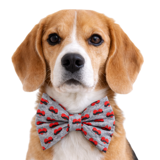 HEART WITH MUSTACHE - DAPPER DEXTER DOG BOW TIE