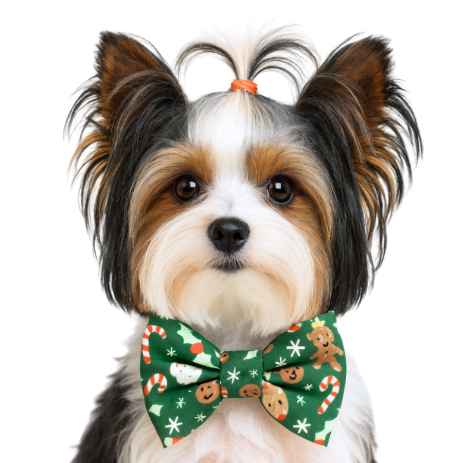 DARK GREEN CHRISTMAS ICONS - DAPPER DEXTER DOG BOW TIE